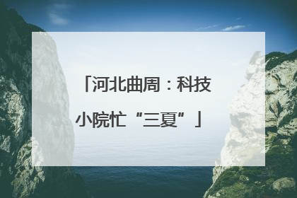 河北曲周：科技小院忙“三夏”