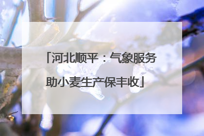 河北顺平：气象服务助小麦生产保丰收