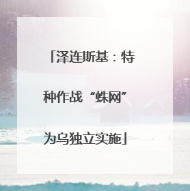 泽连斯基：特种作战“蛛网”为乌独立实施