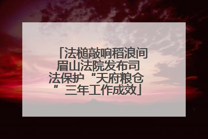 法槌敲响稻浪间 眉山法院发布司法保护“天府粮仓”三年工作成效