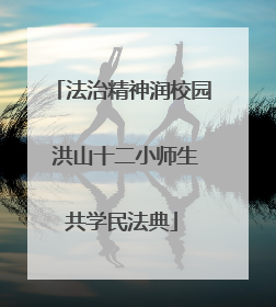 法治精神润校园 洪山十二小师生共学民法典