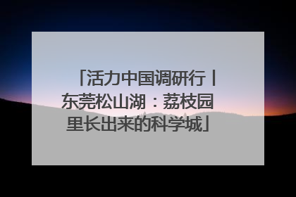 活力中国调研行丨东莞松山湖：荔枝园里长出来的科学城