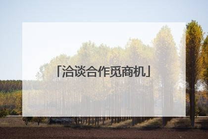 洽谈合作觅商机