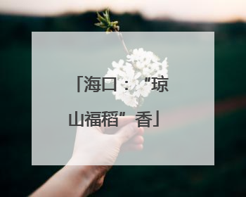 海口：“琼山福稻”香