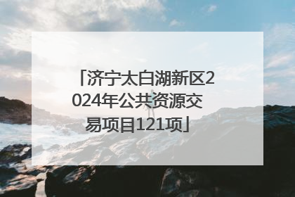 济宁太白湖新区2024年公共资源交易项目121项