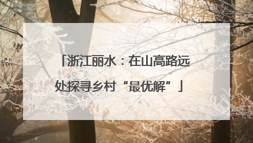 浙江丽水：在山高路远处探寻乡村“最优解”