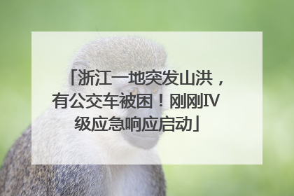 浙江一地突发山洪，有公交车被困！刚刚Ⅳ级应急响应启动
