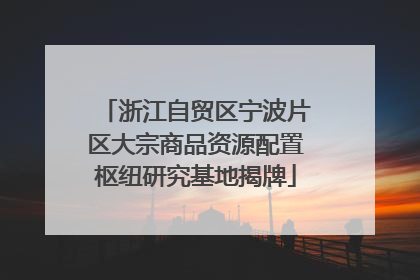 浙江自贸区宁波片区大宗商品资源配置枢纽研究基地揭牌