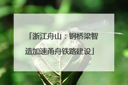 浙江舟山：钢桥梁智造加速甬舟铁路建设