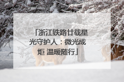 浙江铁路廿载星光守护人：微光成炬 温暖随行