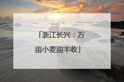 浙江长兴：万亩小麦迎丰收
