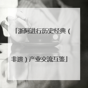 浙阿进行历史经典（非遗）产业交流互鉴