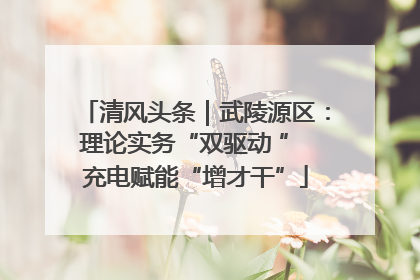 清风头条｜武陵源区：理论实务“双驱动 ” 充电赋能“增才干”
