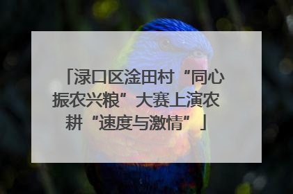 渌口区淦田村“同心振农兴粮”大赛上演农耕“速度与激情”