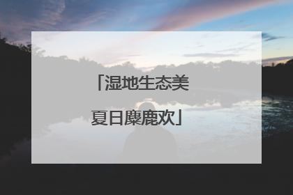 湿地生态美 夏日麋鹿欢