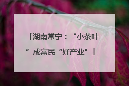 湖南常宁：“小茶叶”成富民“好产业”