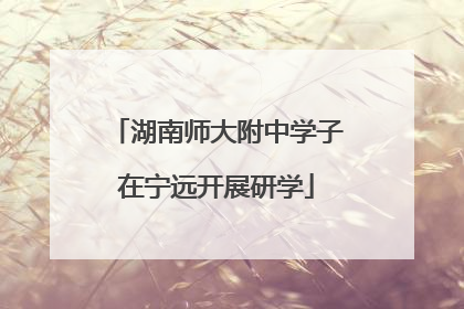 湖南师大附中学子在宁远开展研学