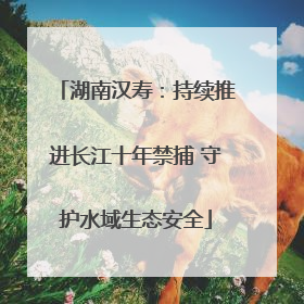 湖南汉寿：持续推进长江十年禁捕 守护水域生态安全
