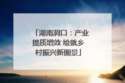 湖南洞口：产业提质增效 绘就乡村振兴新图景