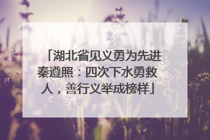 湖北省见义勇为先进秦遵照：四次下水勇救人，善行义举成榜样