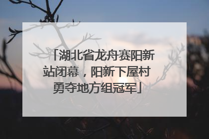 湖北省龙舟赛阳新站闭幕，阳新下屋村勇夺地方组冠军