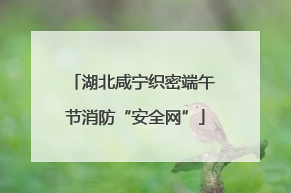 湖北咸宁织密端午节消防“安全网”