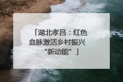 湖北孝昌：红色血脉激活乡村振兴“新动能”
