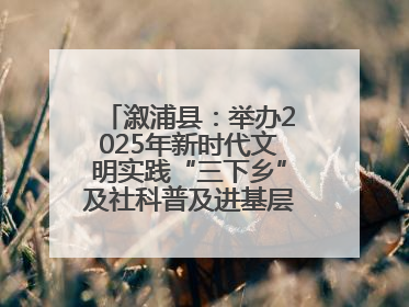 溆浦县：举办2025年新时代文明实践“三下乡”及社科普及进基层主题活动