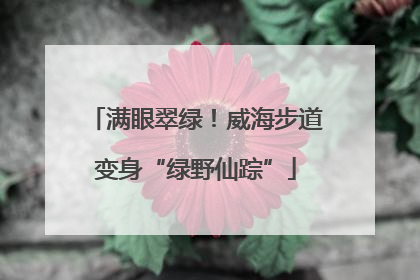 满眼翠绿！威海步道变身“绿野仙踪”
