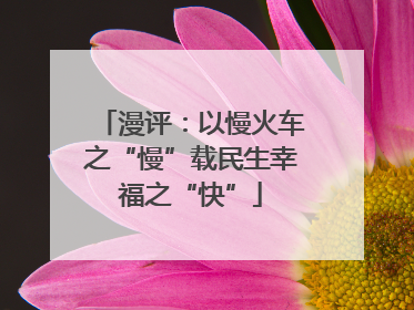 漫评：以慢火车之“慢”载民生幸福之“快”
