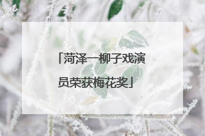菏泽一柳子戏演员荣获梅花奖