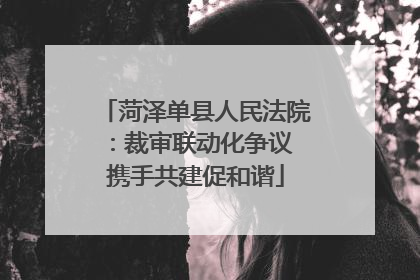 菏泽单县人民法院：裁审联动化争议 携手共建促和谐