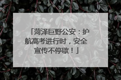 菏泽巨野公安：护航高考进行时，安全宣传不停歇！
