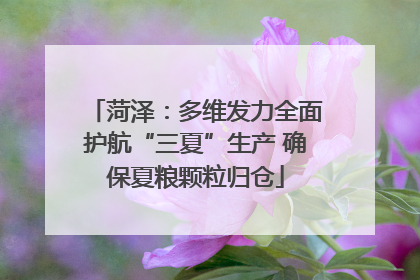 菏泽：多维发力全面护航“三夏”生产 确保夏粮颗粒归仓