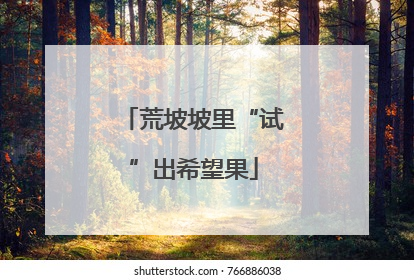 荒坡坡里“试”出希望果