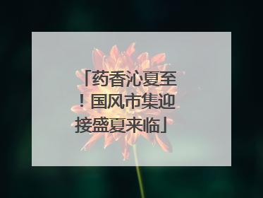 药香沁夏至！国风市集迎接盛夏来临