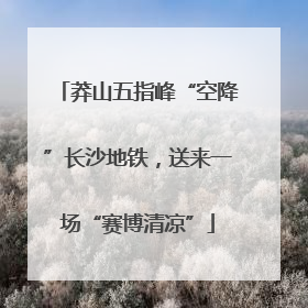 莽山五指峰“空降”长沙地铁，送来一场“赛博清凉”