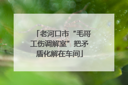 老河口市“毛哥工伤调解室”把矛盾化解在车间