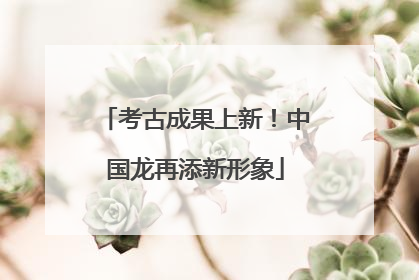 考古成果上新！中国龙再添新形象