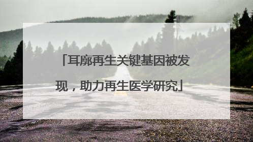 耳廓再生关键基因被发现，助力再生医学研究