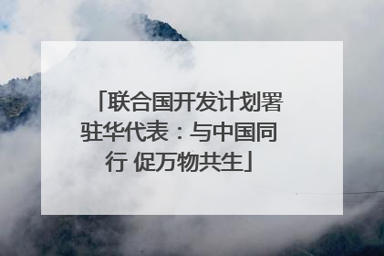 联合国开发计划署驻华代表：与中国同行 促万物共生