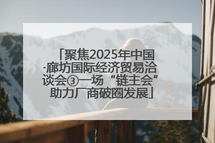 聚焦2025年中国·廊坊国际经济贸易洽谈会③一场“链主会” 助力厂商破圈发展