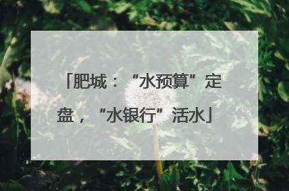肥城：“水预算”定盘，“水银行”活水