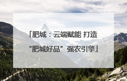 肥城：云端赋能 打造“肥城好品”强农引擎