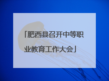 肥西县召开中等职业教育工作大会