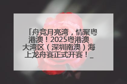 舟竞月亮湾，情聚粤港澳！2025粤港澳大湾区（深圳南澳）海上龙舟赛正式开赛！_深圳新闻网