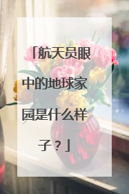 航天员眼中的地球家园是什么样子？