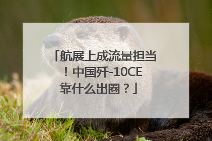 航展上成流量担当！中国歼-10CE靠什么出圈？