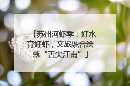 苏州河虾季：好水育好虾，文旅融合绘就“舌尖江南”