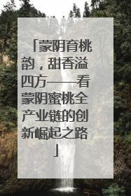 蒙阴育桃韵，甜香溢四方——看蒙阴蜜桃全产业链的创新崛起之路